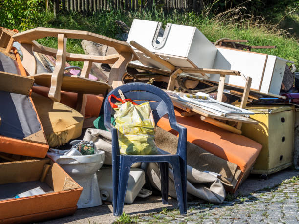 Professional Junk Removal  in Lakin, KS